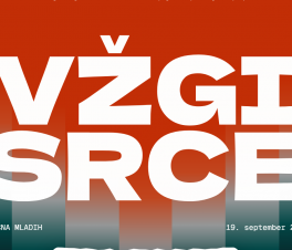 Stična mladih 2026